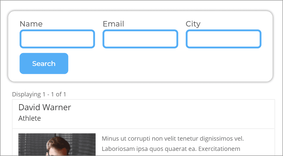 The search bar on the front end showing three separate search inputs - one for "Name", one for "Email" and one for "City".