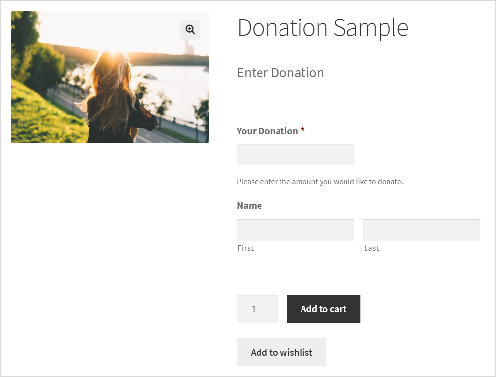 A product page called for donations with a Gravity Forms form with fields for the donation amount and name
