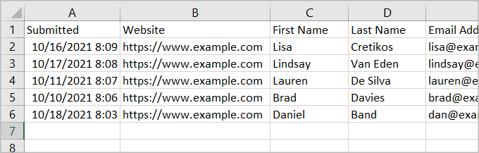 An Excel spreadsheet containing columns for each form field