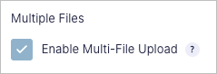 Enable Multi-File Upload checkbox
