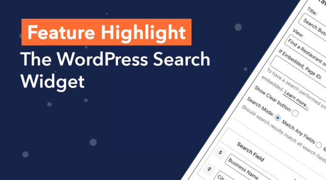 Feature Highlight: The WordPress search widget