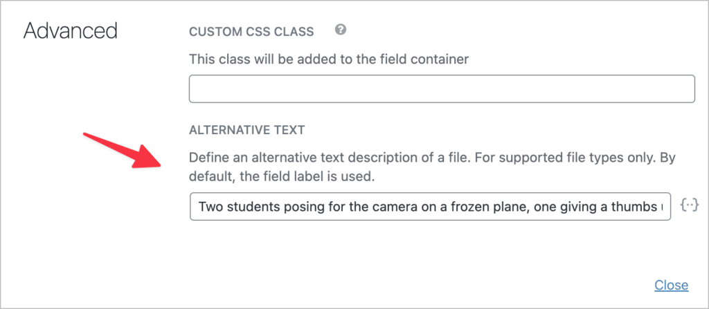 The new 'Alternative text" input box on the field settings for File Upload fields in GravityView.