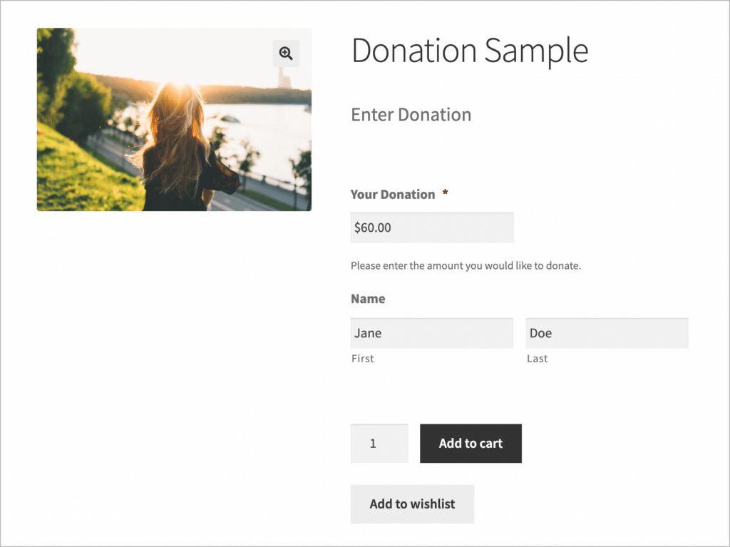 Gravity Forms donation form